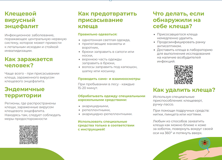 Анонс «горячей линии» по профилактике клещевого энцефалита.